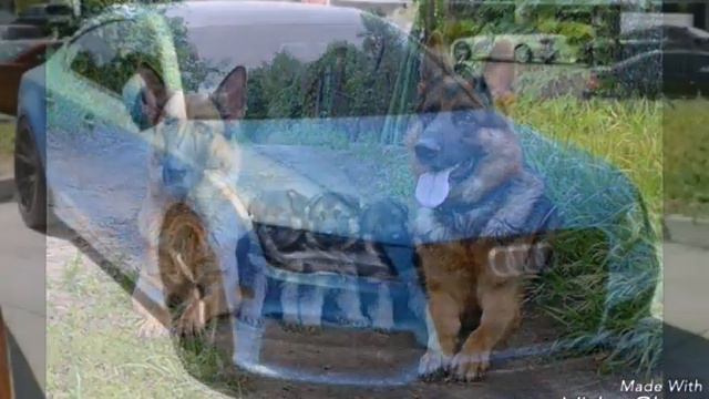 Клип под песню эрон дон дон смотреть онлайн