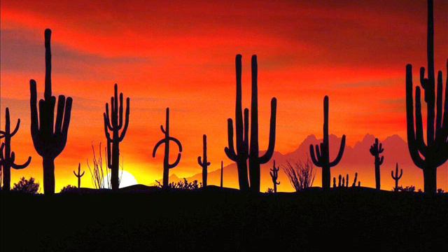 Maksim moj rai dj Vini remix смотреть онлайн