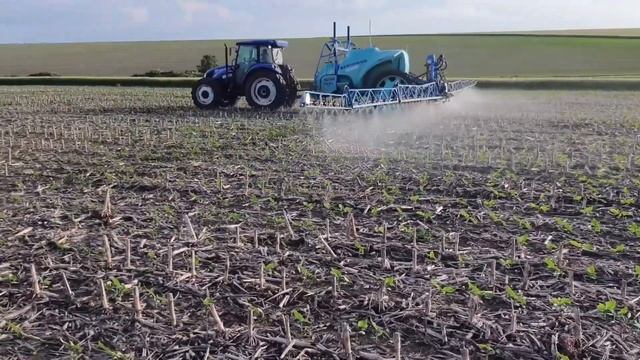 08.09.21 Вирощування соняшнику/ Повна технологія. смотреть онлайн