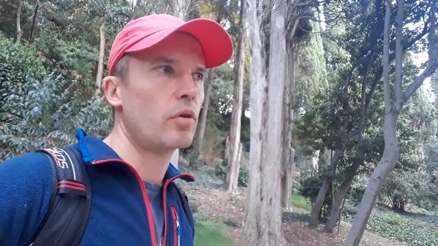 Неужели пирамидальные кипарисы - дело рук человеческих? смотреть онлайн