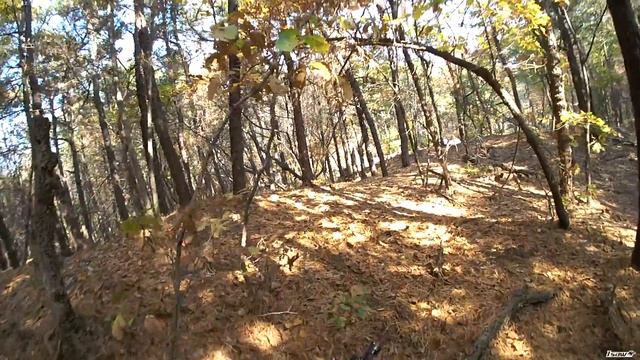 Airsoft Game Backstab смотреть онлайн