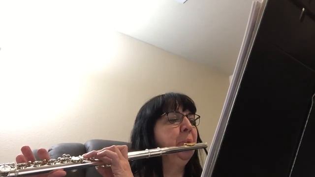 Largo from Sonata in E Minor by Jean-Baptiste Loeillet. смотреть онлайн