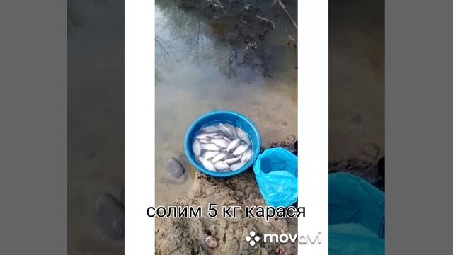 Собственний пруд без пленки на грунтових водах и ручьях смотреть онлайн