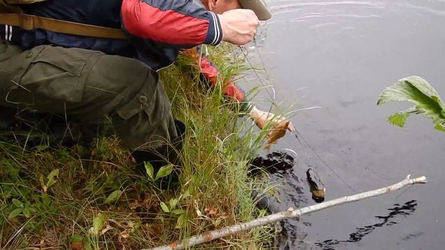 Щукарь на жерлицу летом #4 смотреть онлайн