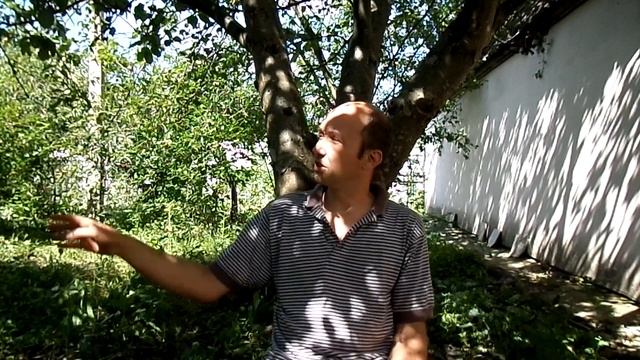 История моего ветряка в ошибках и выводах ч-2 смотреть онлайн