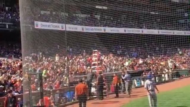 6.11.16 Bat stuck in backstop at Giants SBC Park SF, CA смотреть онлайн