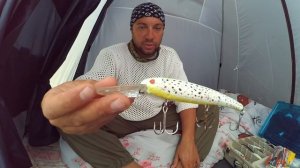 Обзор по троллинговым воблерам. Воблеры на которы ловлю сам. Воблеры для троллинга. ловля троллинго