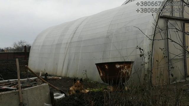 Подготовка ям для посадки виноградных кустов смотреть онлайн