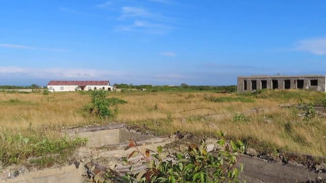 Морские приключения и их удивительные открытия