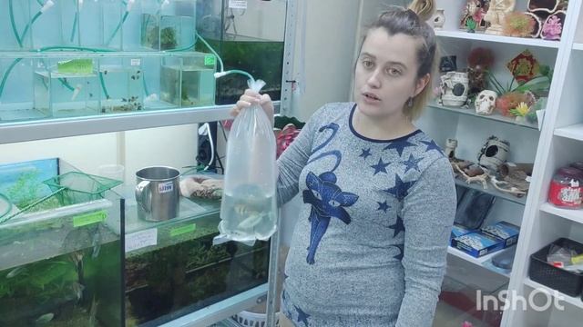 Как упаковать рыбку и растения для дальнейшей транспортировки смотреть онлайн