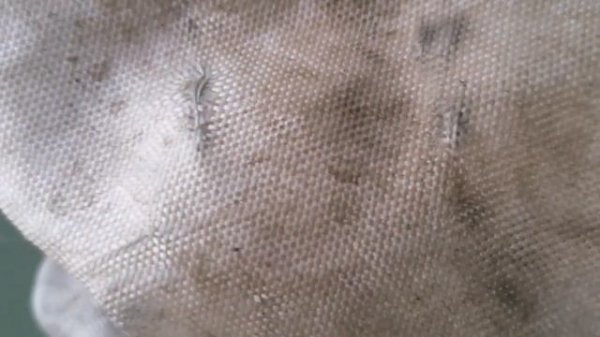 Лада Х рей кросс мороз - 31. zepro idemitsu 5w30