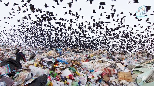 Стерилизующий пластик / Пластик в металл / Из отходов дизельное топливо | Новости Полимеров №4 смотреть онлайн