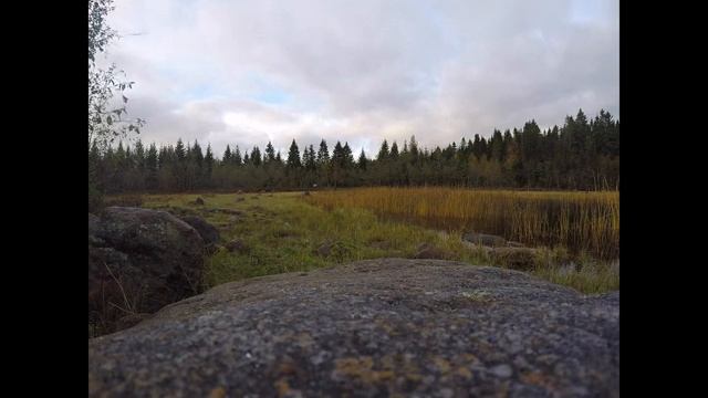 Early morning bird migration over Hällögern, Northern Sweden. смотреть онлайн