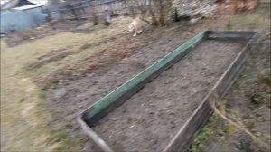 Дрессировка взрослой собаки с нуля. Программа послушания "Бытовой минимум" для взрослой собаки.