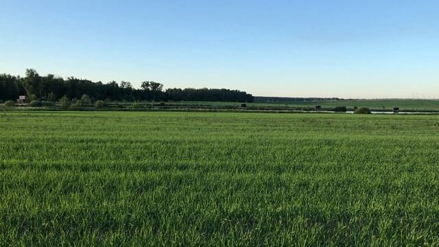 КАК ПРОВЕСТИ ЛЕТО КРУТО? ВАШИ ВАРИАНТЫ. МОИ ДАЧНЫЕ ДНИ ЛЕТО 2021 смотреть онлайн