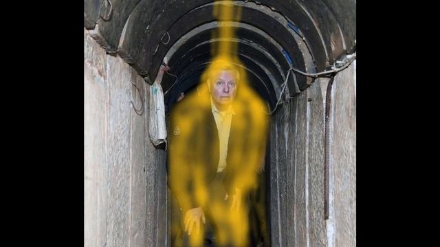 False Facts - Lindsey Graham