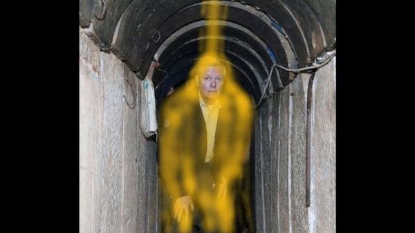 False Facts - Lindsey Graham