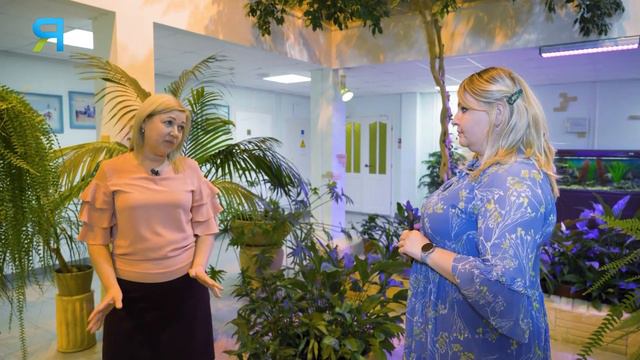 Бассейн, пальмы, тренажёрный зал и тоска по дому: «нелегкая» жизнь вахтовиков Крайнего Севера смотреть онлайн