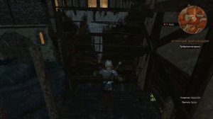 The Witcher 3: Wild Hunt (Убежище Ублюдка Младшего)