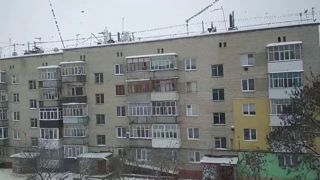 12.01.2019 В Шостку прилетели птички! смотреть онлайн