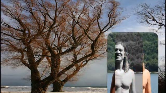 Video "Informator" by Alesha Brodo (Алёша Бродо - Информатор) смотреть онлайн