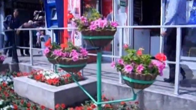 ЦВЕТЫ на улице Бирюзова смотреть онлайн