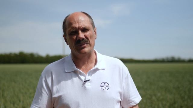 Защита от фузариоза колоса