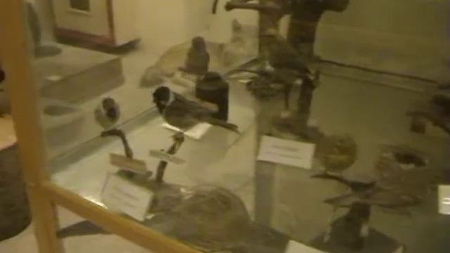 Ярославская область. Рыбинское водохранилище. БОРОК 2015 год. смотреть онлайн