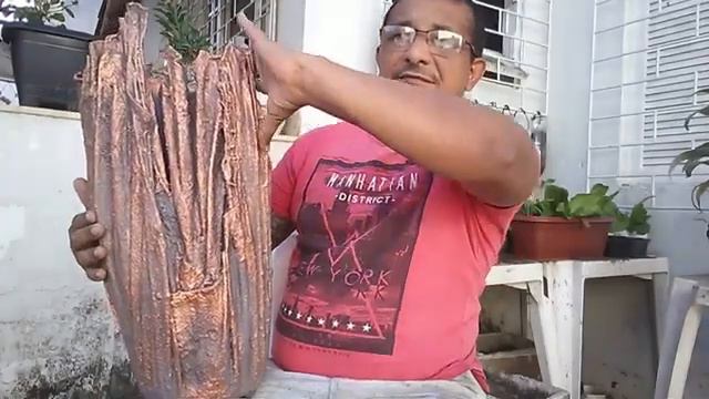 ALPORQUIA: Pré Bonsai de ARAÇÁ UNA (parte 01) смотреть онлайн