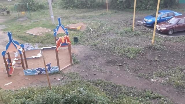 Посеяли семена "цветущий газон" во дворе. Мини огород на балаоне? смотреть онлайн