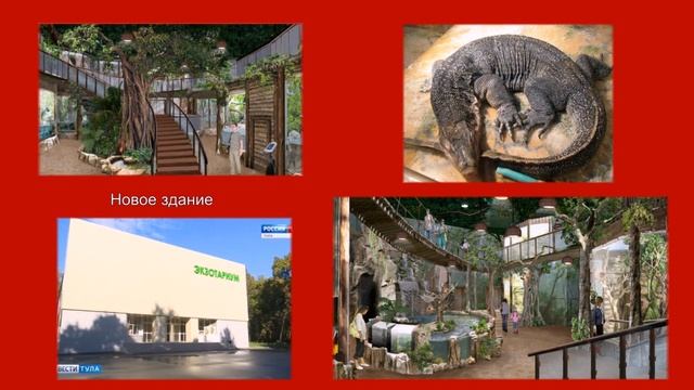 Музеи Тулы. Краткий обзор. смотреть онлайн