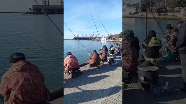 3 Супер интересная рыбалка в Туапсе Super interesting fishing in Tuapse 2023 смотреть онлайн