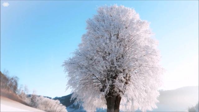 Reiki Healing Music With 5 Minutes Bell ?