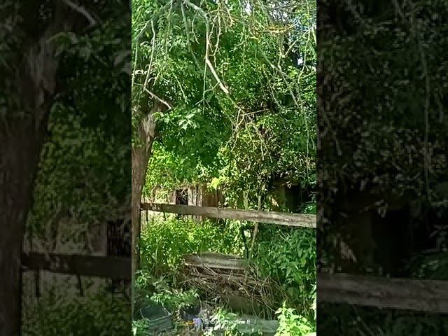 17 июля 2022 г. смотреть онлайн