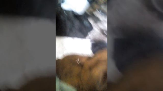 не большой ремонт ДВС трактора т 70 с. смотреть онлайн