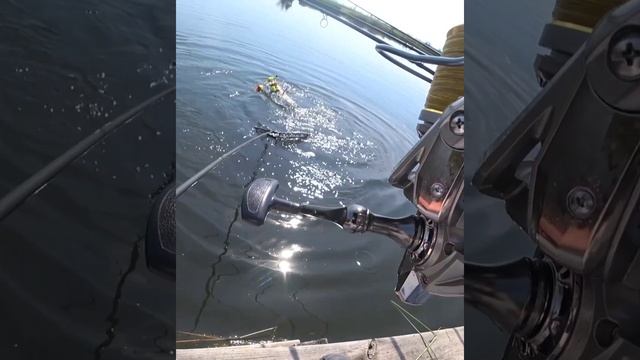 InShot_20230615_201320939.mp4 смотреть онлайн