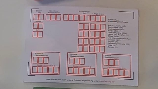 Рыбалка в Германии - это не просто! Как не попасть в суд и не получить штраф. 2023. смотреть онлайн