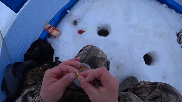 Ловим чебака на засолку!хмао-югра. смотреть онлайн