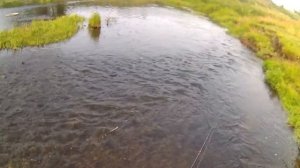Сибирская Рыбалка на реке Чёрная