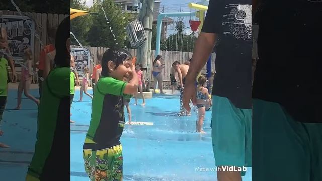 My VidLab Video