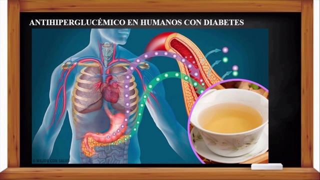 ¿De verdad la kombucha es tan saludable? смотреть онлайн