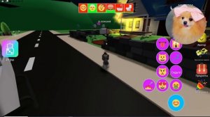 КАКАЮЩИЕ КОТИКИ БОЛЬШЕ НЕ МОГУТ КАКАТЬ ! НОВАЯ ВЕЧЕРИНКА КОТИКОВ  В РОБЛОКС ! PET PARTY ROBLOX