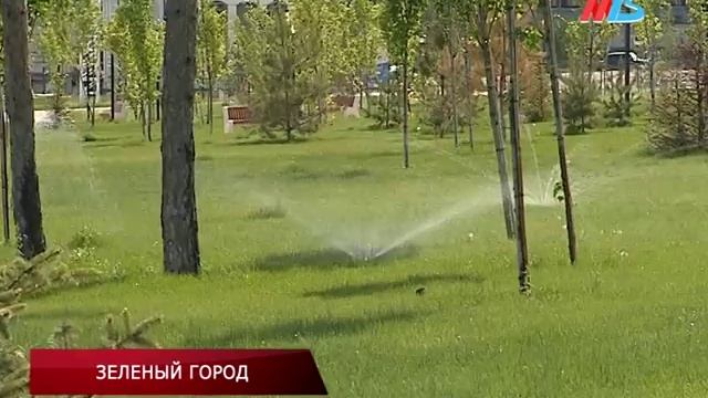 Склон Центральной набережной Волгограда накрыли зеленым ковром смотреть онлайн
