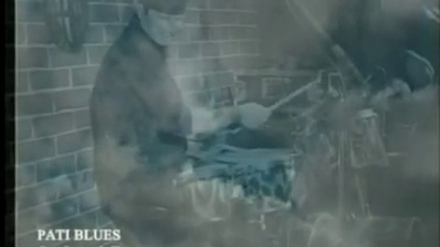 WIESLAWA DUDKOWIAK -Paty Blues-Scarborough Fair (ballad) 