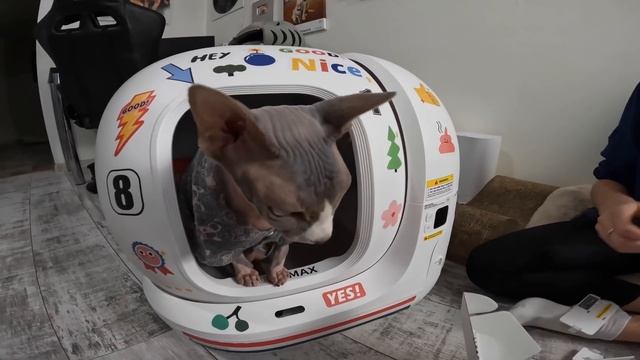 Petkit Pura Max - самый дорогой подарок в жизни Мэни ?? Обзор автоматического лотка смотреть онлайн