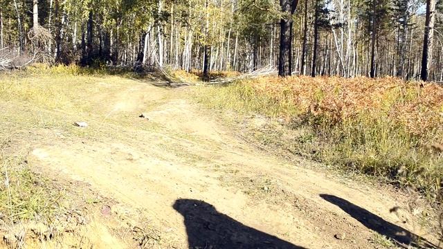 Статический момент (15.09.2014) смотреть онлайн