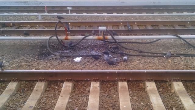 без комментария Дядя Вася Гражданин смотреть онлайн