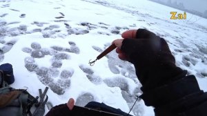 УЛОВИСТЫЕ БЛЕСНЫ НА СУДАКА. СОДЕРЖИМОЕ НАШИХ КОРОБОК.