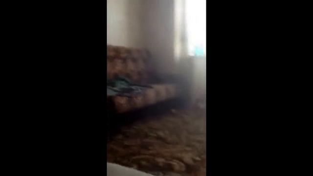 САМЫЕ СМЕШНЫЕ И НОВЫЕ ПРИКОЛЫ С ЖИВОТНЫМИ! 2016-2017! #1 смотреть онлайн