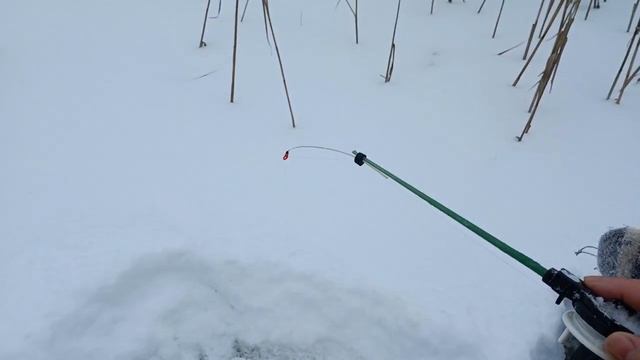 Рыбалка на маленьком лесном озере, клевал окунь. Жарим окуней ням-ням) смотреть онлайн